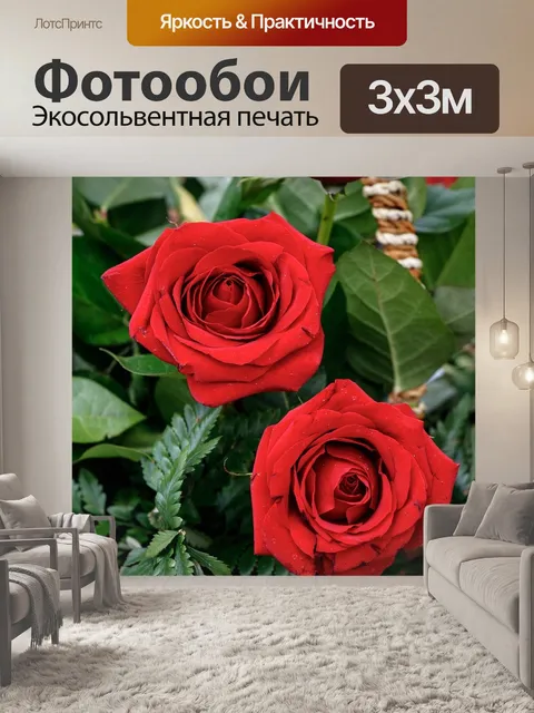 Фотообои Розы