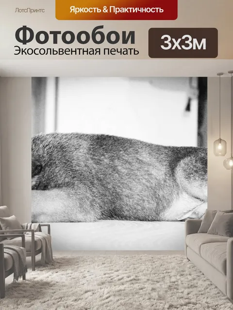 Фотообои Щенок