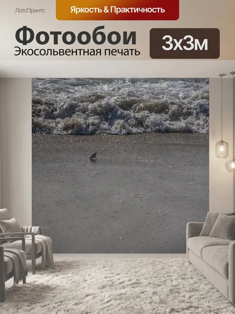Фотообои Один садоводческий корм на пляже
