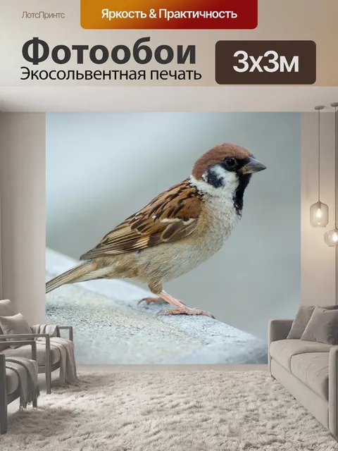 Фотообои Дерево воробей