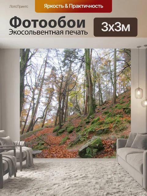 Фотообои Осенний лес