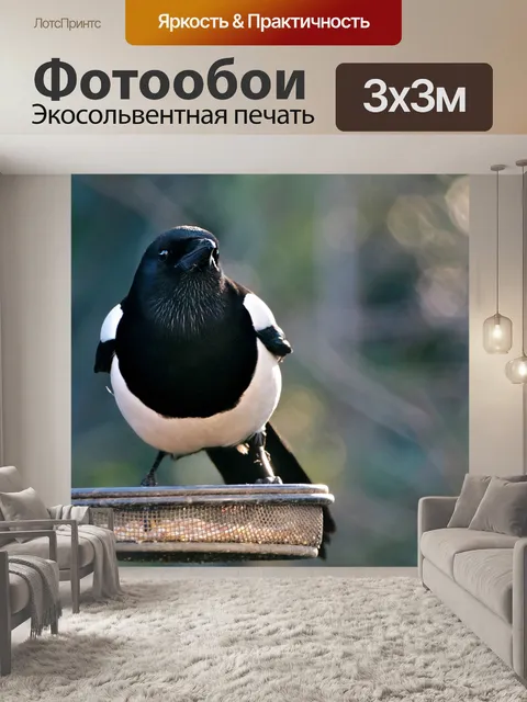 Фотообои Птица