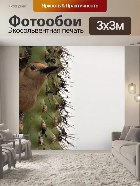 Фотообои Птица внутри сагуарового кактуса