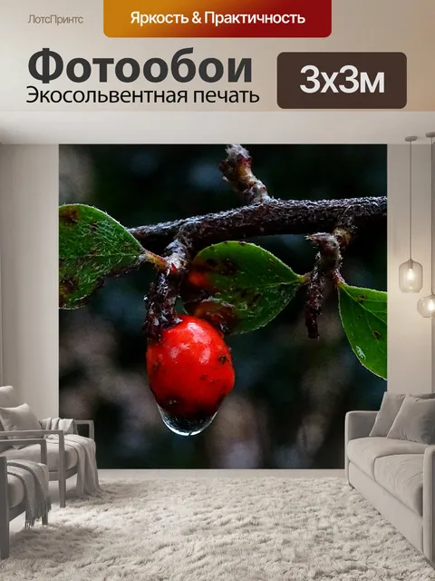 Фотообои Зимняя красная ягода с утренней росой