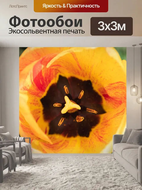 Фотообои Тюльпан, желтый цветок, срезанный цветок