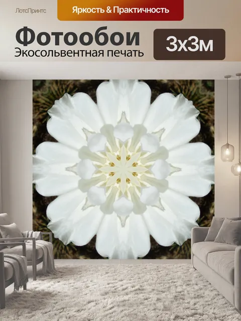 Фотообои Белый цветок Аннотация
