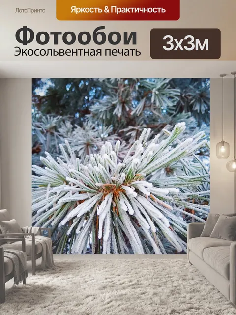 Фотообои Мороз