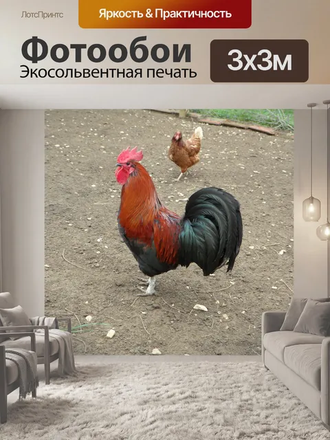 Фотообои Кран