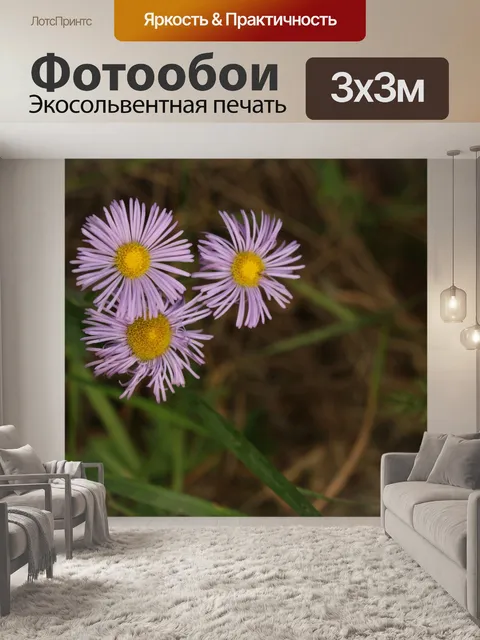Фотообои Розовые полевые цветы