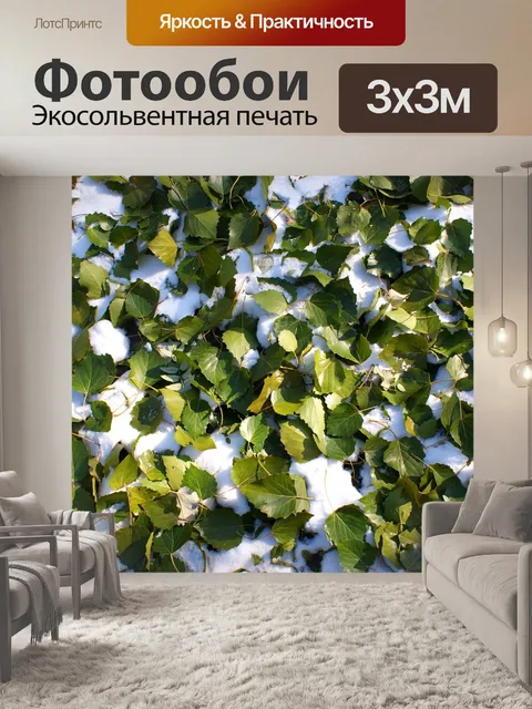 Фотообои Первый снег