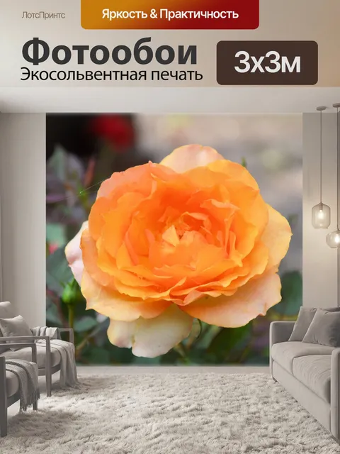 Фотообои Цветы 1,04