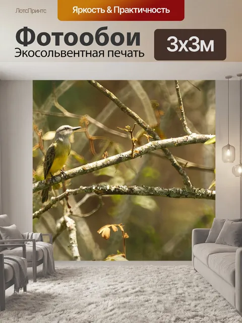 Фотообои Природа