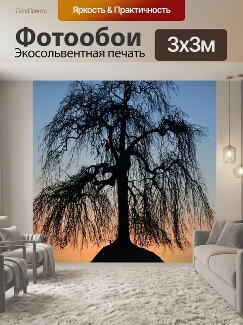 Фотообои Дерево