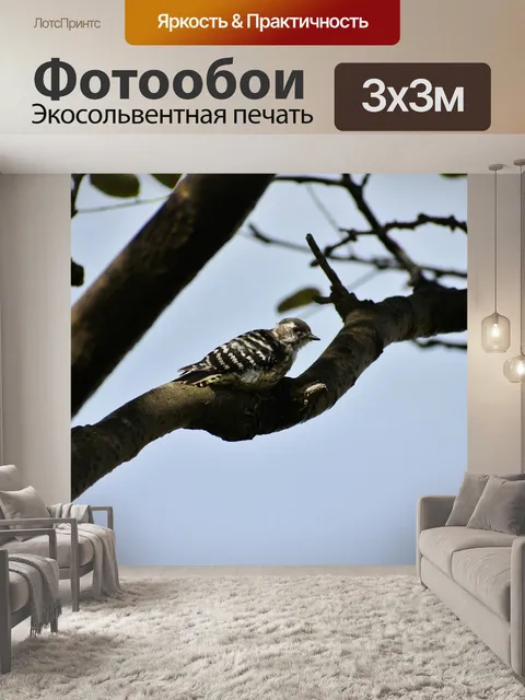 Фотообои Животное