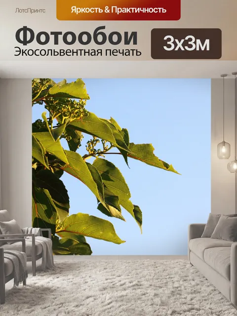Фотообои солнечный свет на японском дереве изюма