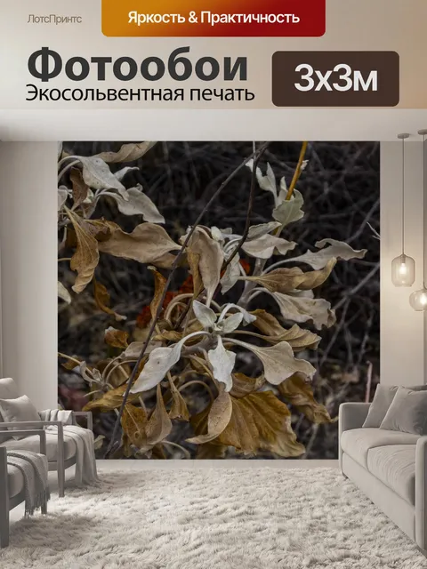 Фотообои Естественный фон