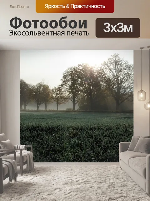 Фотообои Роса