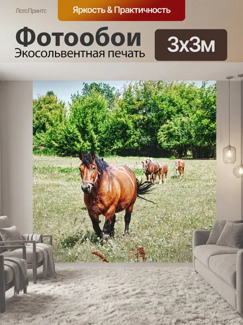 Фотообои Лошадь