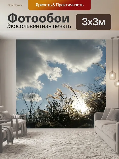 Фотообои Рид