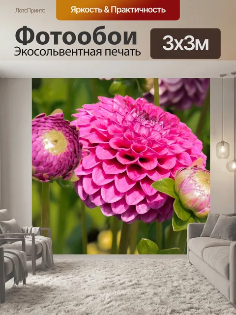 Фотообои Цветок