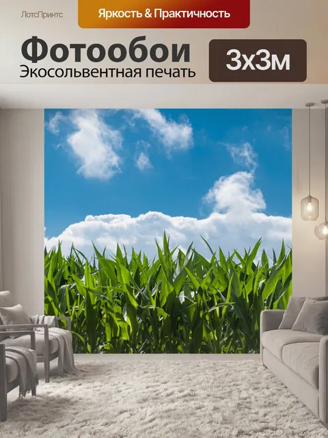 Фотообои Зеленая трава и голубое небо