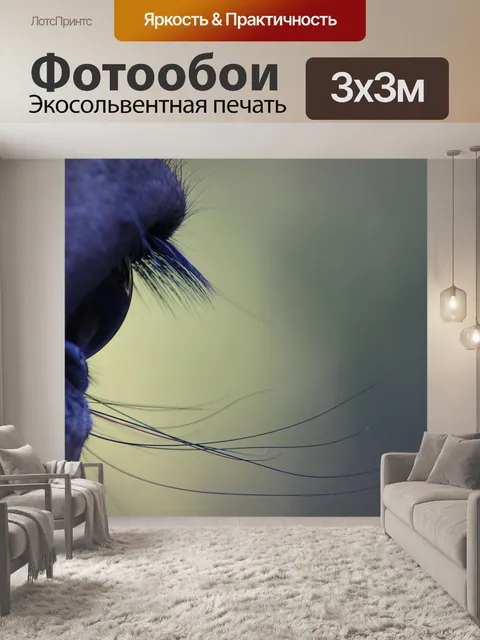 Фотообои Конский глаз