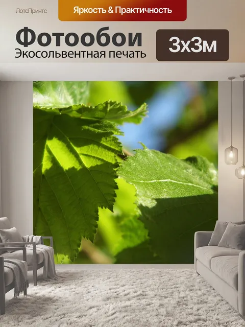 Фотообои Ореховое дерево