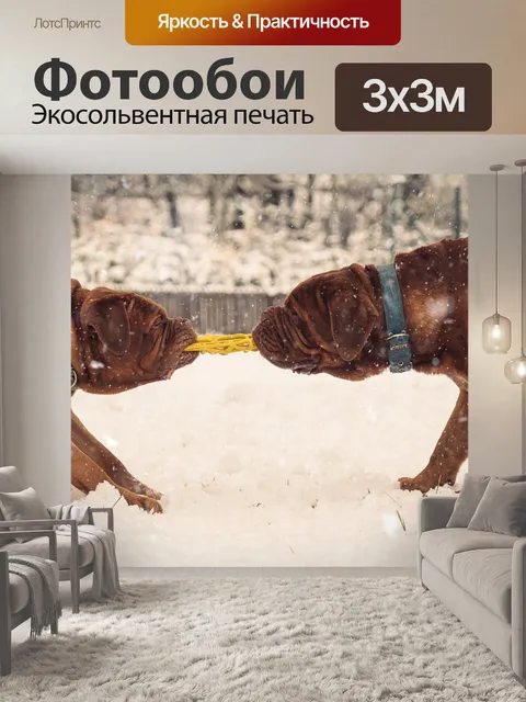 Фотообои Собаки