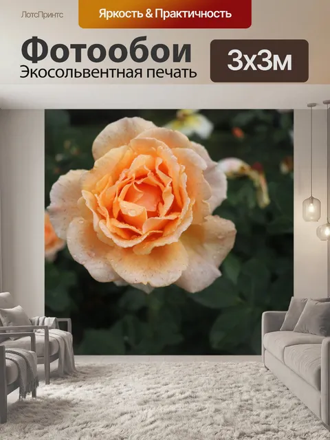 Фотообои Роза