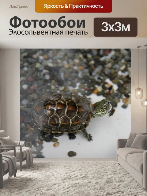 Фотообои Черепаха