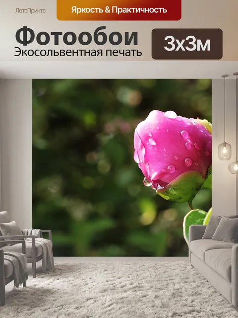 Фотообои Пион