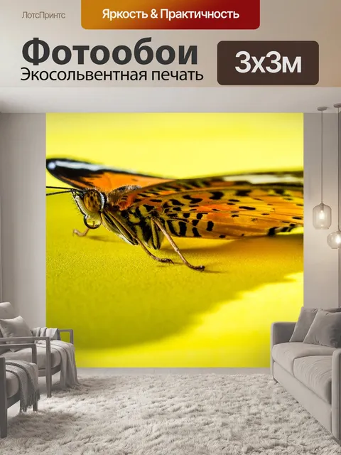 Фотообои Бабочка