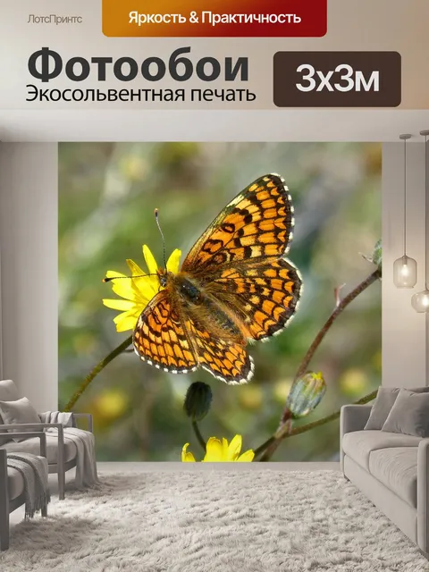 Фотообои Шахматная доска centáurea