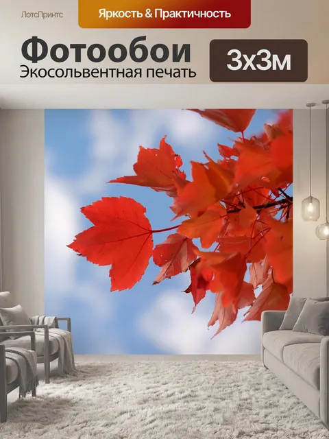 Фотообои Красный