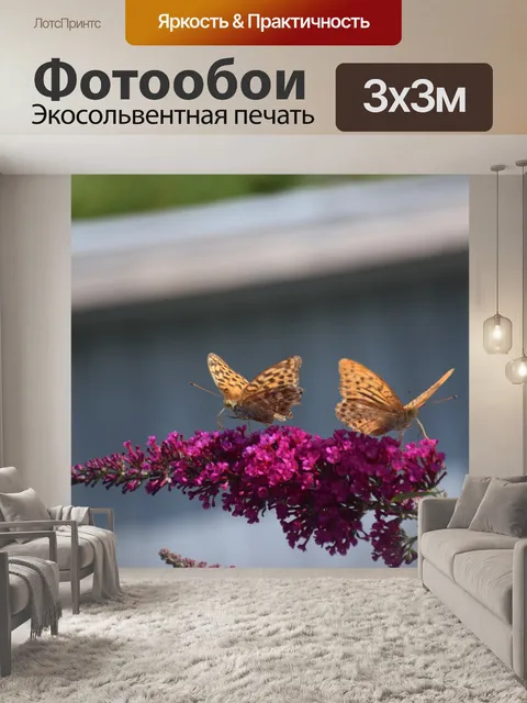 Фотообои Бабочка