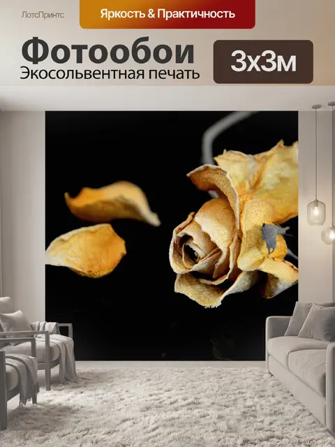 Фотообои Роуз