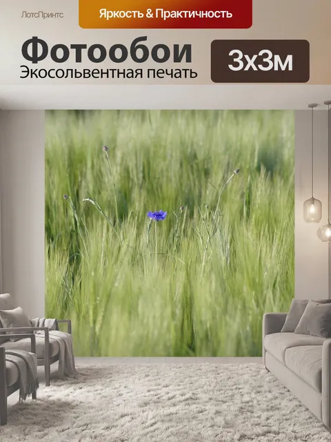 Фотообои Поле