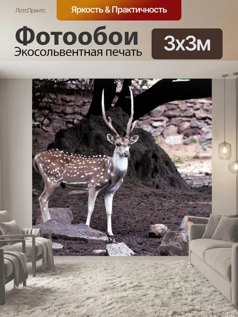 Фотообои Пятнистый олень 9