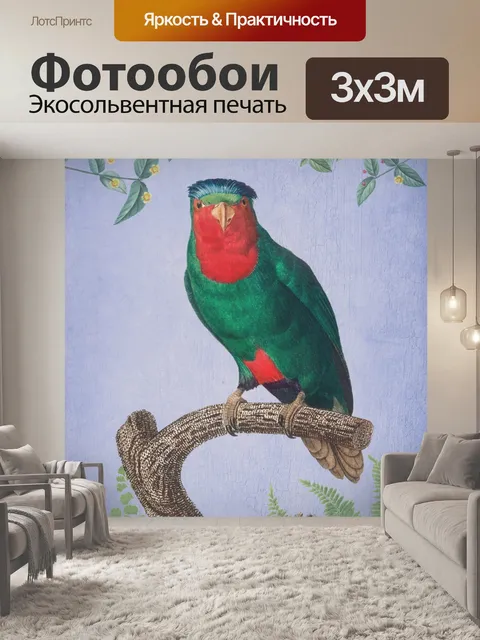 Фотообои Попугай птица старинный плакат