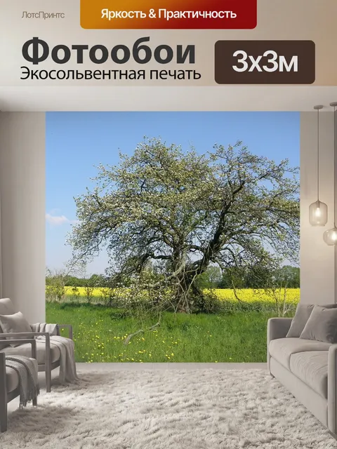 Фотообои Дерево