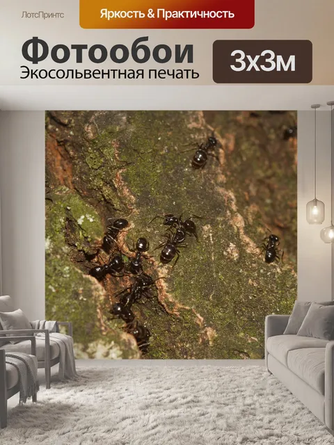 Фотообои Насекомое