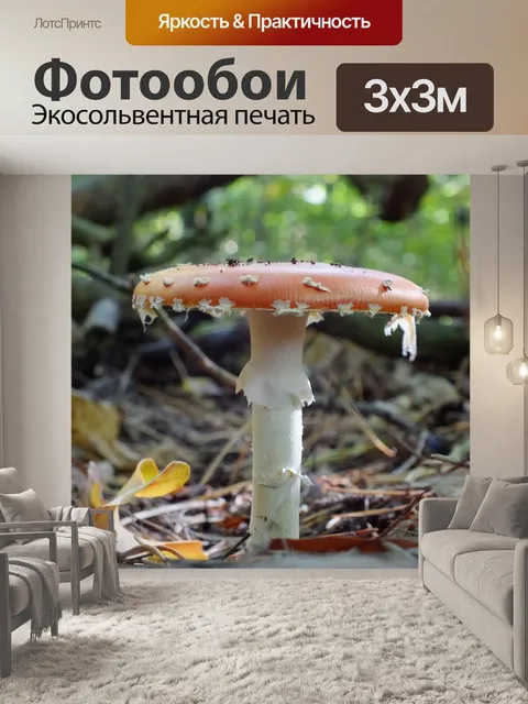Фотообои Лес
