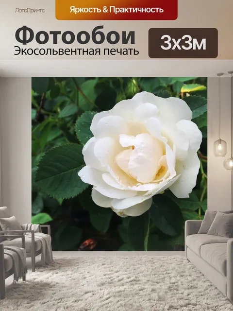 Фотообои Рось