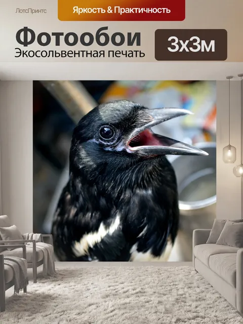 Фотообои Майна птиц