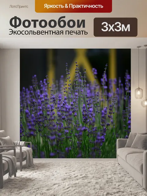Фотообои Лаванда