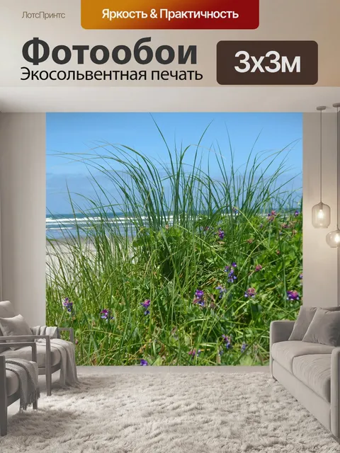 Фотообои Морская трава
