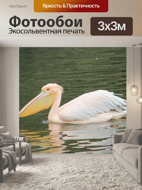 Фотообои Пеликан