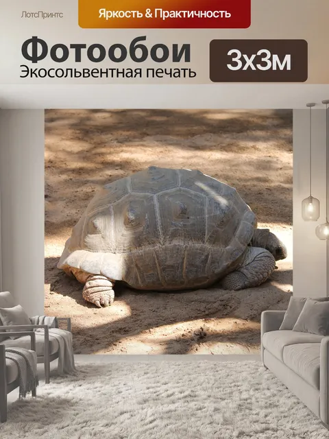 Фотообои Черепаха