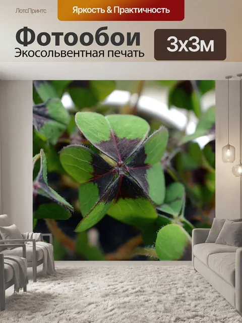 Фотообои Четырёхлистный клевер