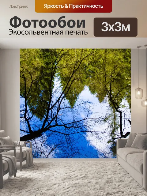 Фотообои отражение в воде